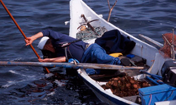 uni04